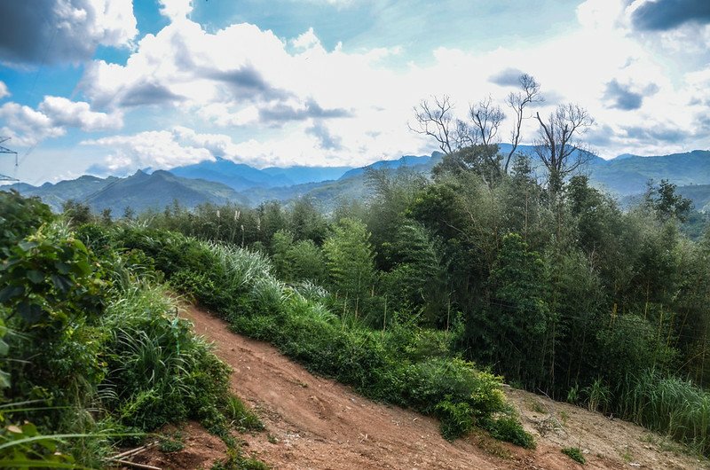 九芎坪(灰窯坑山)電塔登山口東望群山 (1)