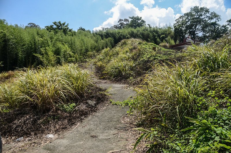 八分山登山路徑