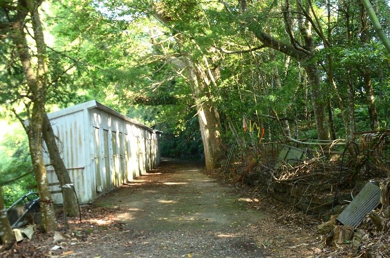 法雲寺古道 (1)