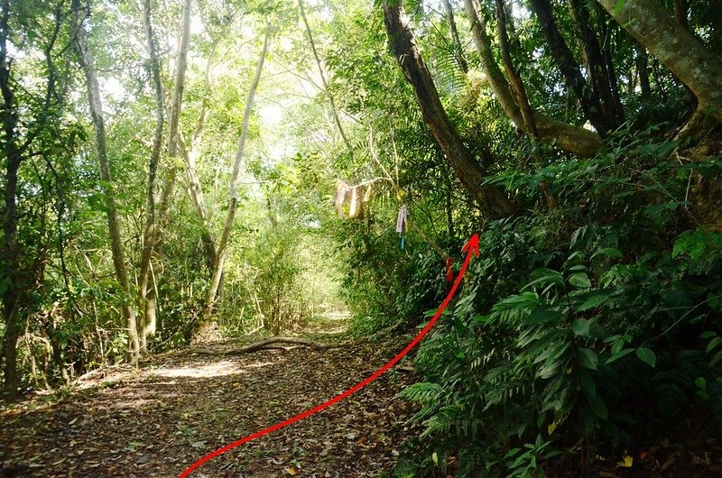 汶水山登山口