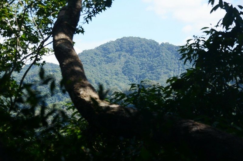 汶水山山頂北望八角崠山