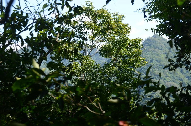 汶水山山頂北望八角崠山(L)、東坑山(R)