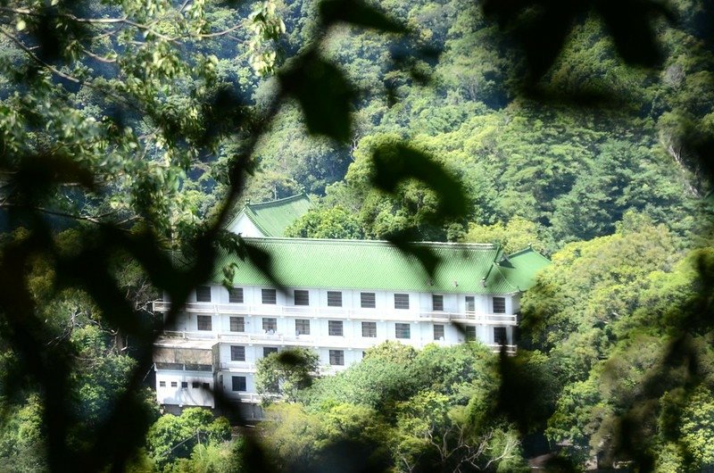 金童山登山山徑俯瞰法雲寺