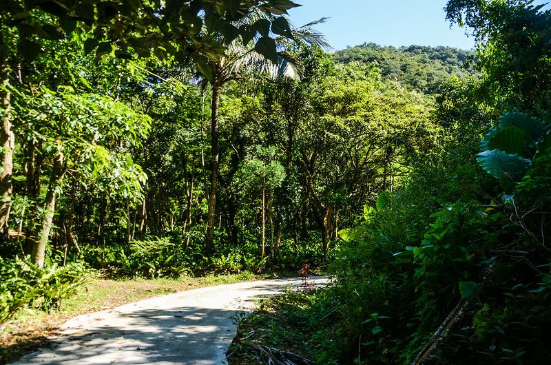 牡丹富士山水泥路旁山蘇園