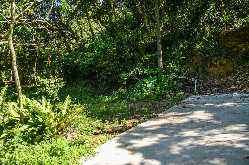 牡丹富士山水泥路底登山口