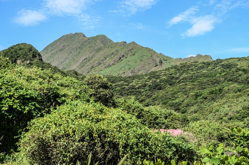 南子吝山東南峰登山步道西南望鋸齒稜 1