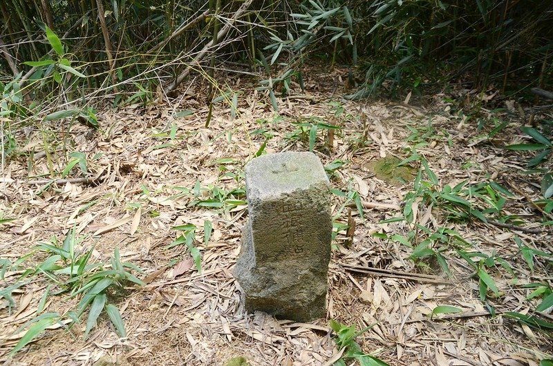 頭寮坑山總督府圖根補點(Elev. 210 m) (1)