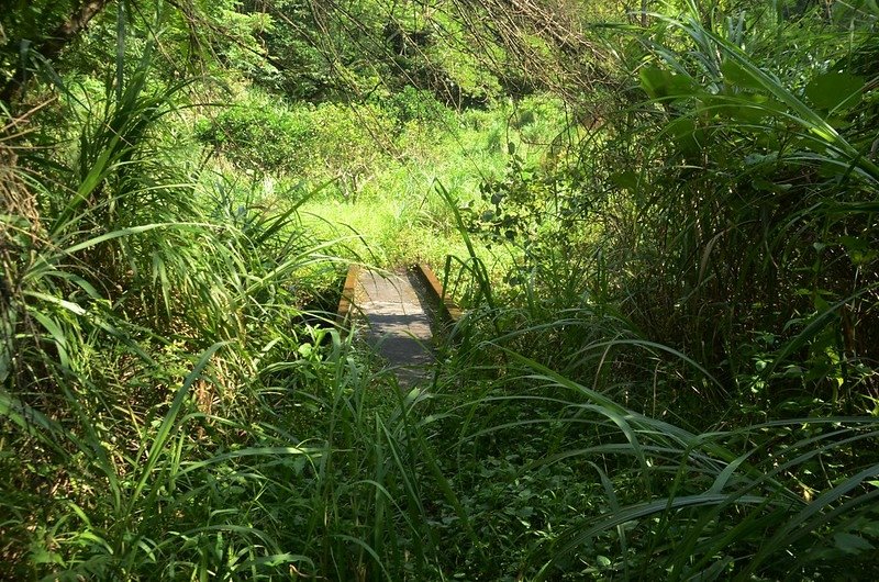 崁頂寮小水泥橋