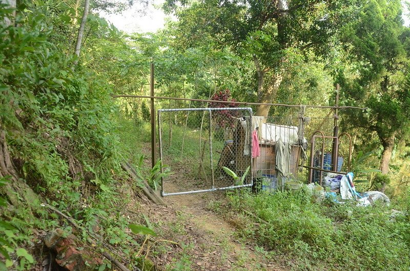 頂寮山菜園登山口