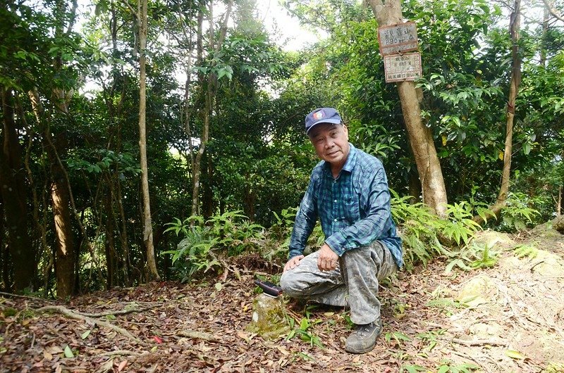 觀音山山頂