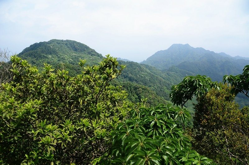 觀音山山頂巨岩北望仙山南峰、仙山 (1)