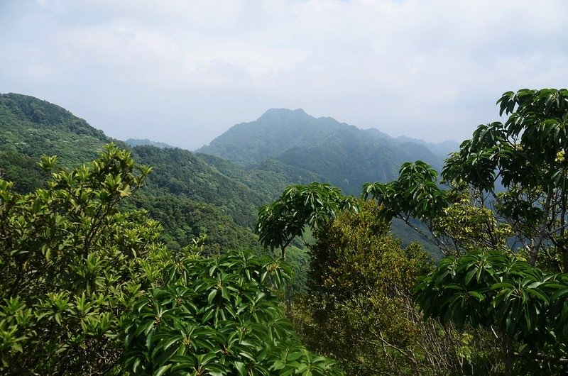 觀音山山頂巨岩北望仙山南峰、仙山 (2)