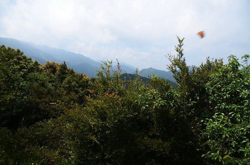 觀音山山頂巨岩南望群山 (2)