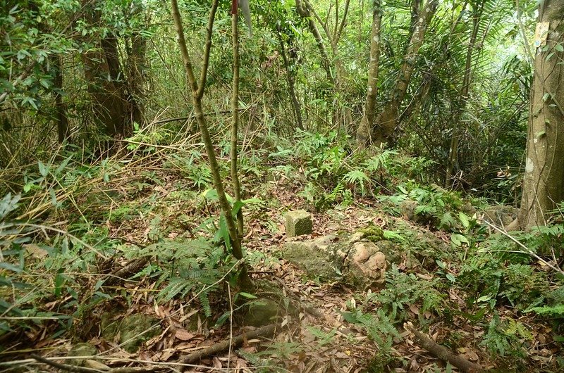 小東勢山(六分山)山頂 (1)