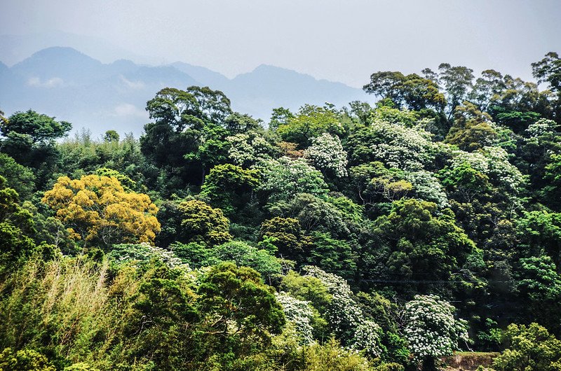 永和山水庫 (1)