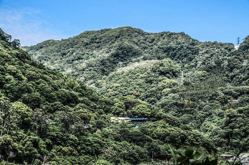 出礦坑沿途山景 (3)