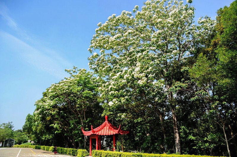 三義九華山大興善寺 (2)