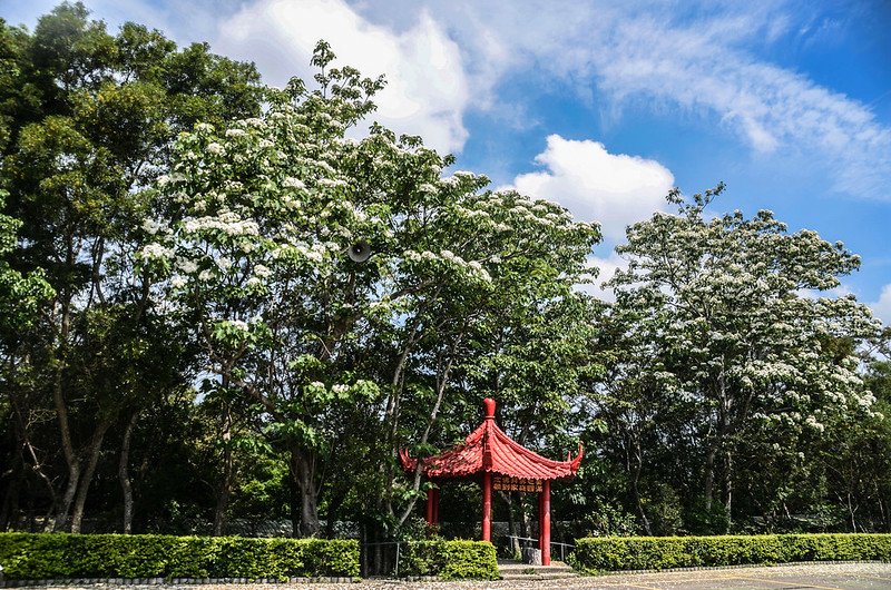 三義九華山大興善寺 (1)