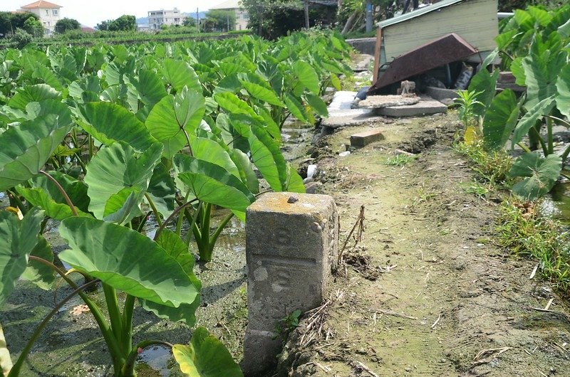 和平橋總督府土木局水準點(# 町杭6-6 Elev. 117 m)