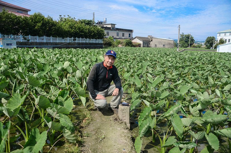 和平橋總督府土木局水準點