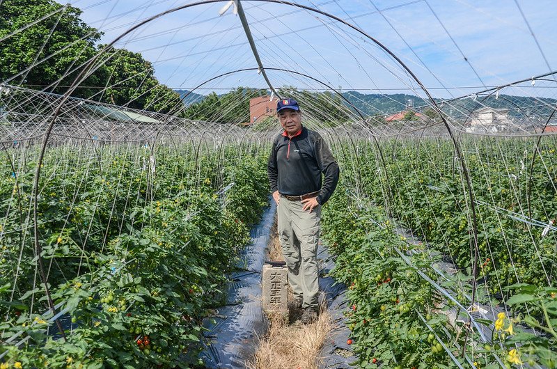 北番子埔總督府土木局水準點