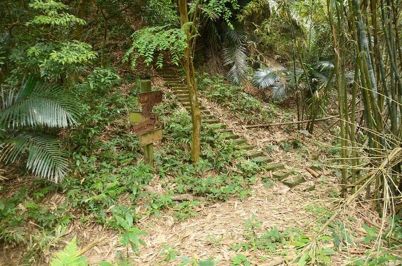 石觀音古道鞍部岔路