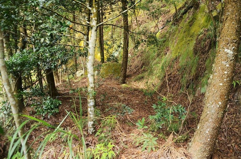 石觀音山崖壁間平台