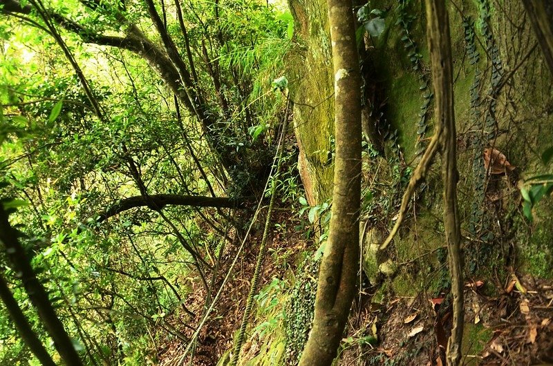 石觀音山峭壁拉繩段 (4)