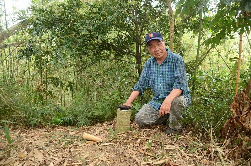 肚兜桶山山頂