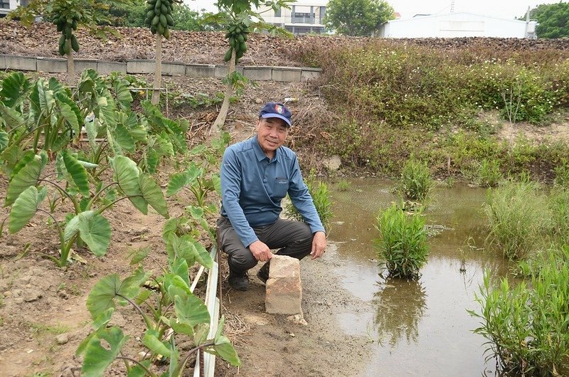 沙鹿土地調查局水準副線點