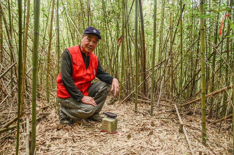 片山山頂