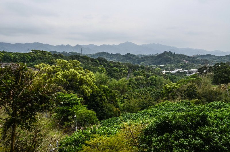 北坑(扒子崗山)山頂南邊展望