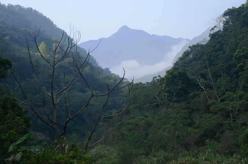 南庄風美道南眺加里山 (1)