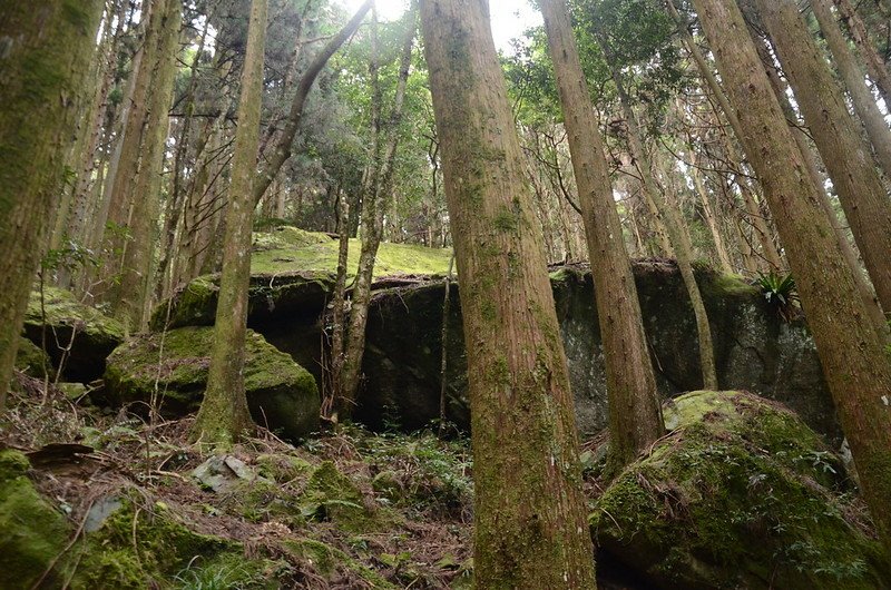 登山步道旁巨石 (2)