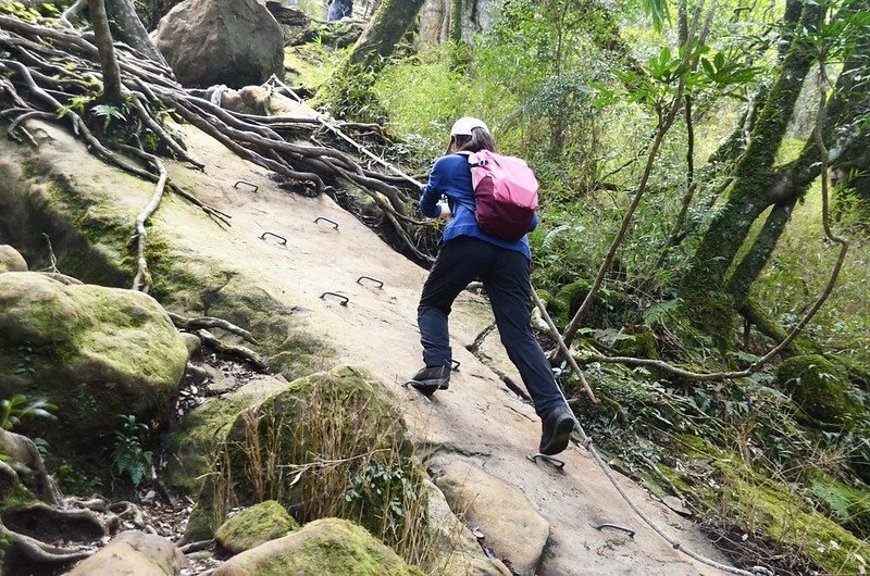 加里山拉繩陡登路段 (1)