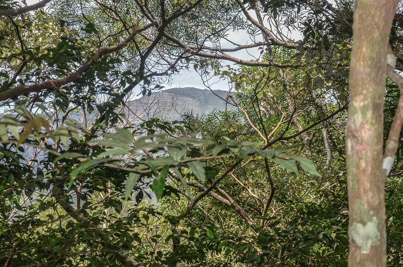 草埔後社產道西北望草埔後山