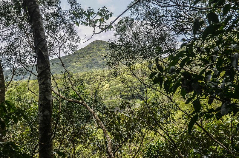 草埔後社產道西北望草埔後社山 (2)