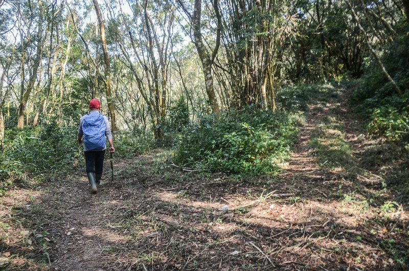 草埔後社產道1.8K岔路