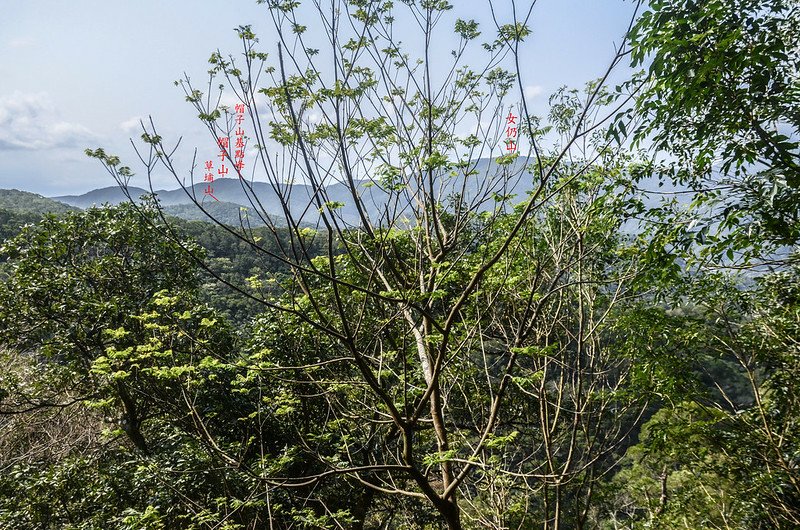 草埔後社產道南望女仍山、帽子山、草埔山 (2)