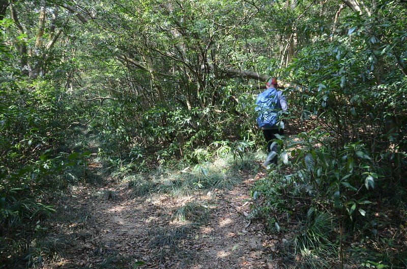 草埔後社產道3.3K岔路