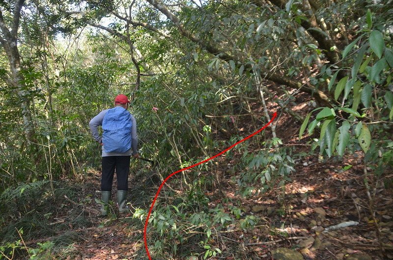 草埔後社產道山徑上切處