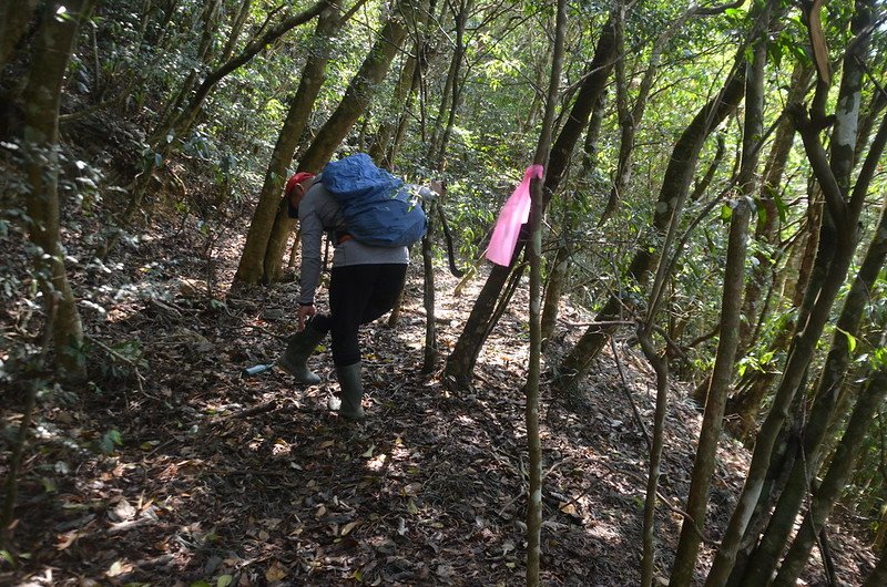 草埔後社山山腰廢產道