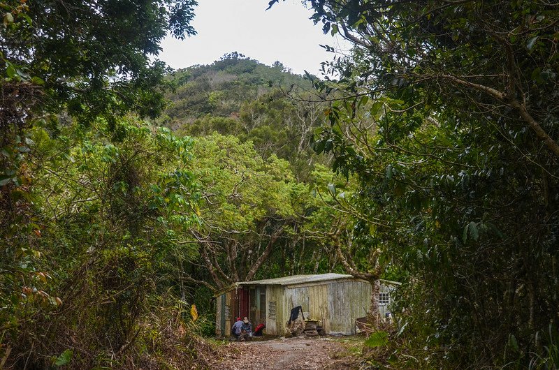 草埔後社產道望草埔山假山頭