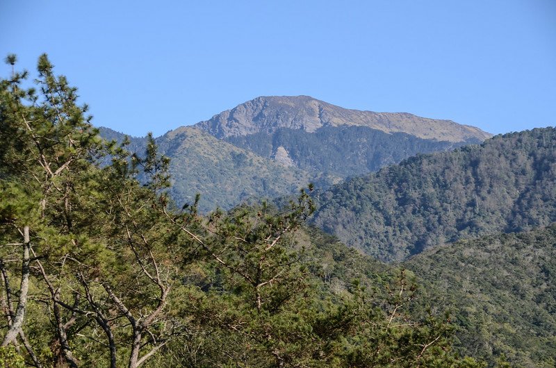 鐵本山步道(H 1725 m)東南望關山