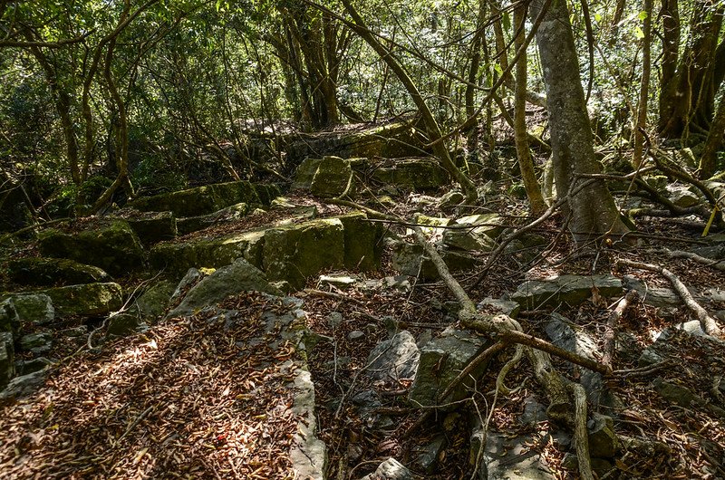 鐵本山步道岩石坡路段 (6)