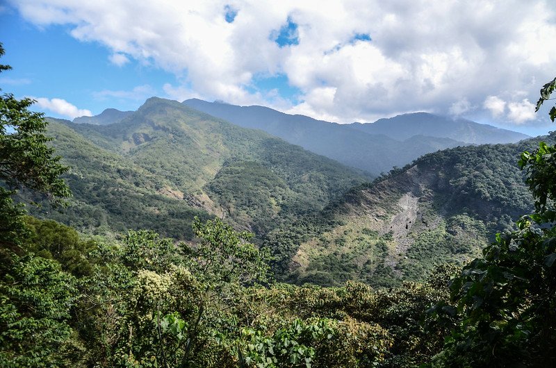 天鵝湖瀑布岔路東北望大母母稜線