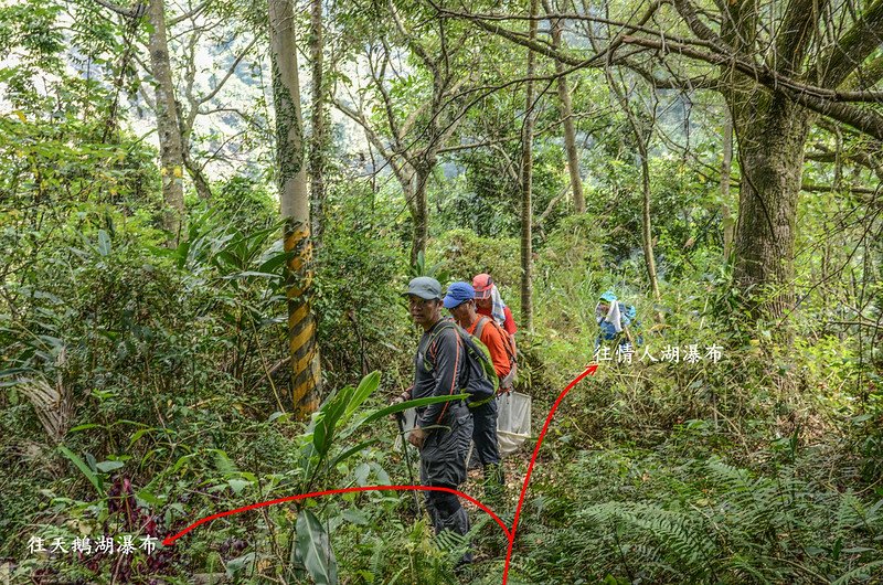 天鵝湖瀑布、情人湖瀑布岔路