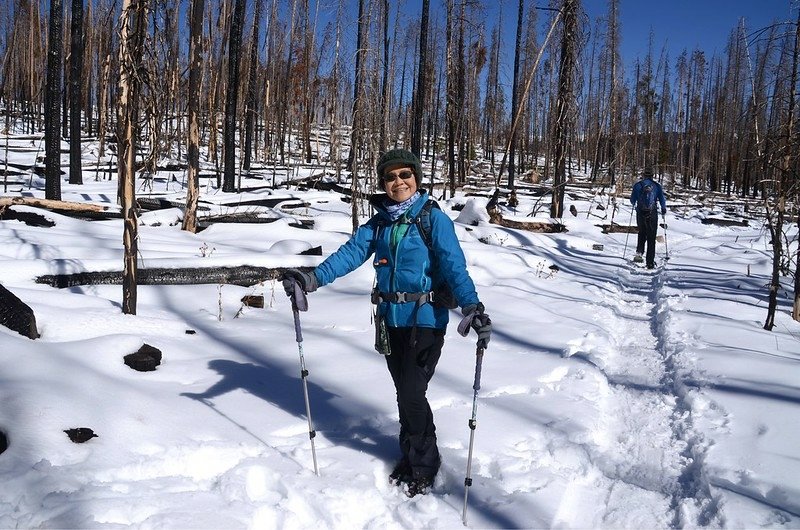 Hiking on Buffalo Cabin trailhead to Gore Range trail junction, Colorado (186)