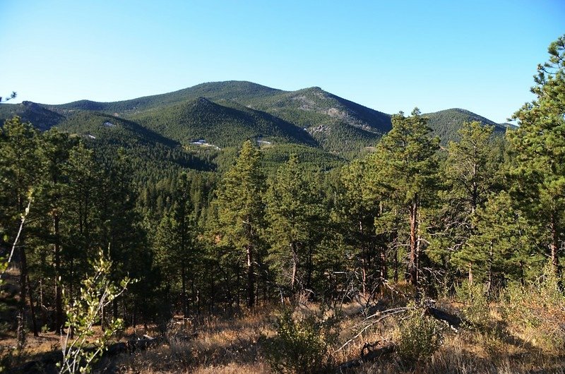 Mountain Lion Trail, Colorado (12)