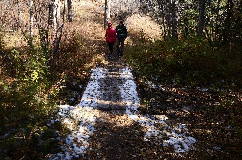 Mountain Lion Trail, Colorado (26)